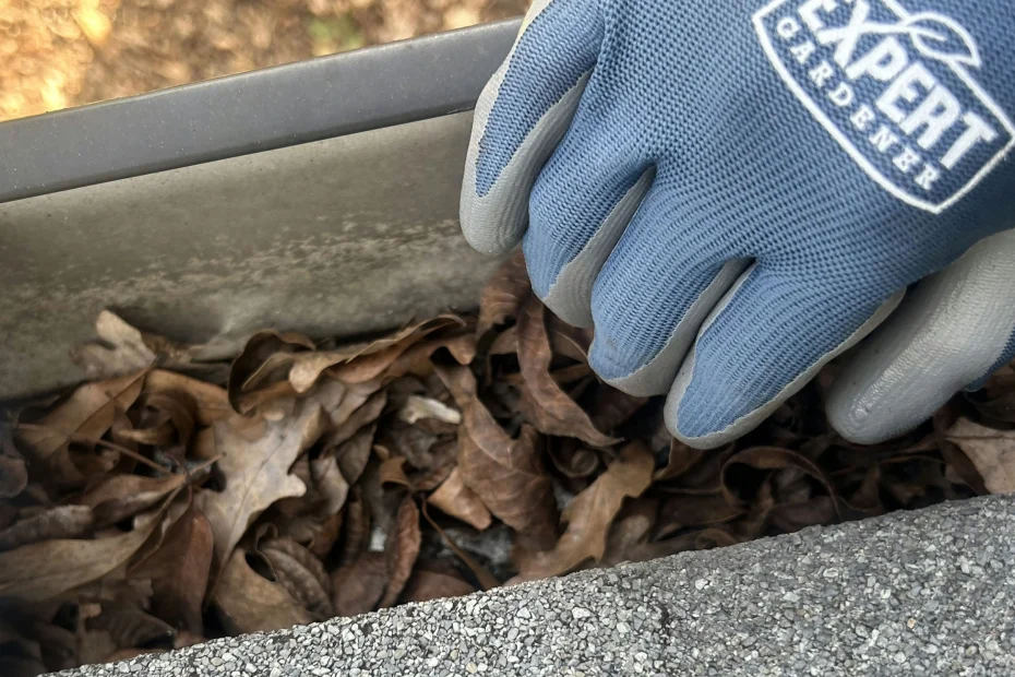 Gutter Cleaning Maitland