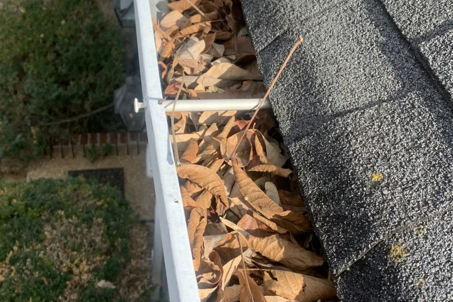 Gutter Cleaning Maitland