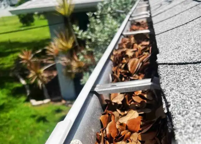 Gutter Cleaning Maitland home page